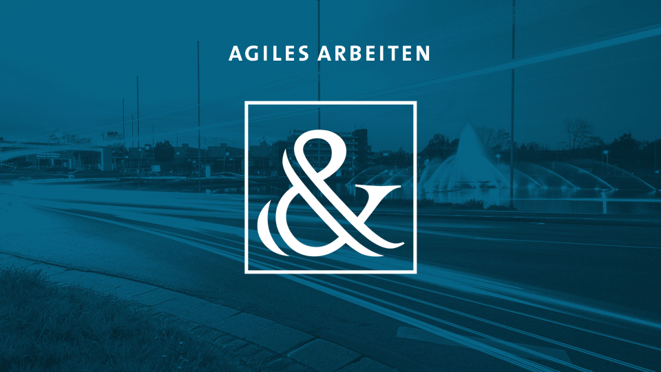 Agile Softwareentwicklung - Risiken von Softwareentwicklungsverträgen